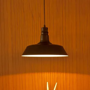 ANKUR BARN METAL PENDANT LIGHT